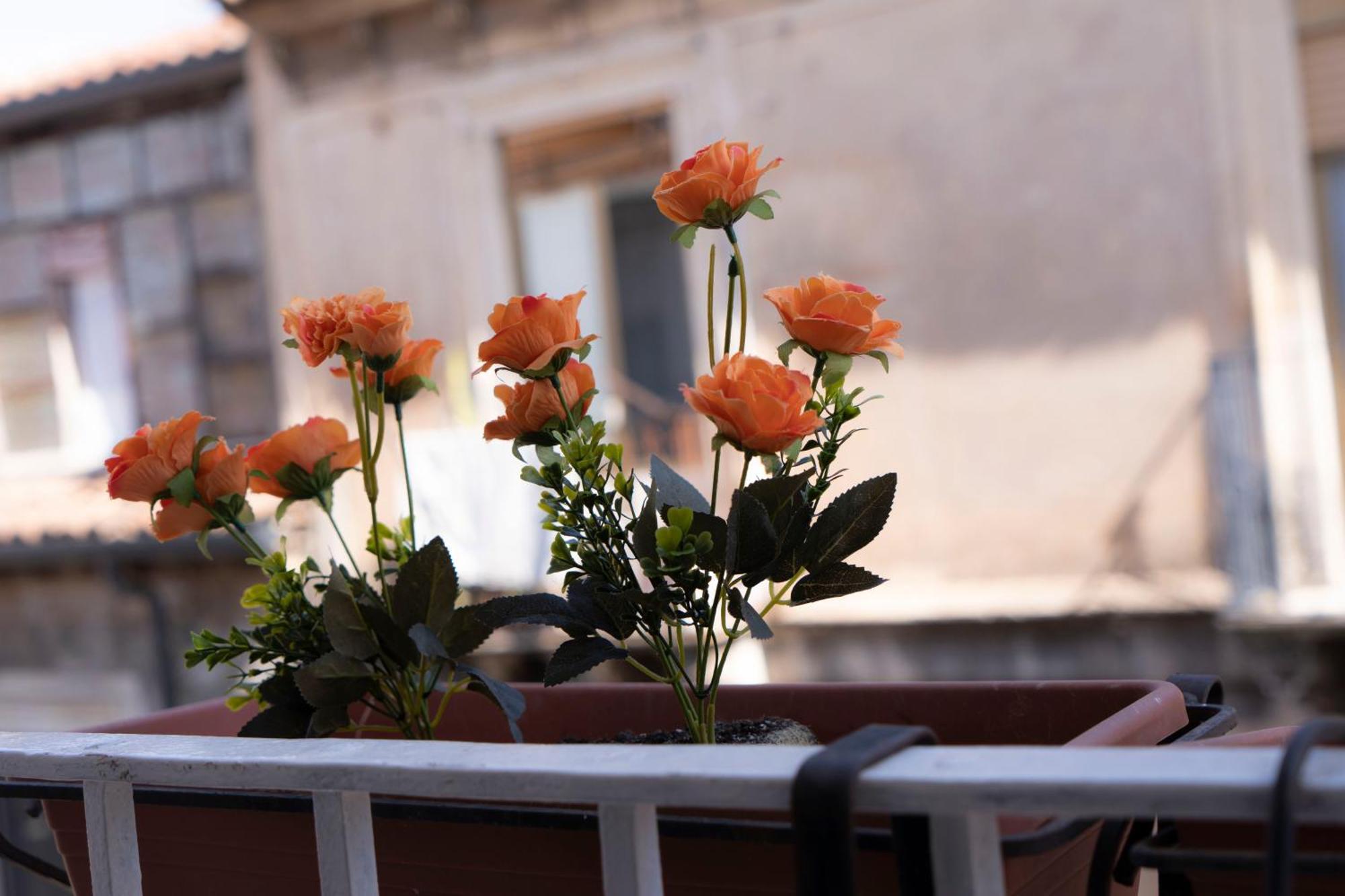 Etna Timeo Central Apartment In Baroque Building CTA Exterior foto